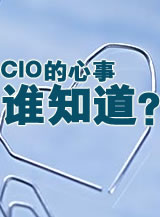 CIO：2006年喜忧参半  2007年挑战不小（上）