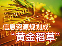 国企改制 信息资源规划成救命的“黄金稻草”