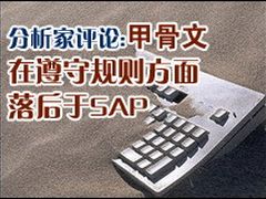 甲骨文在遵守规则方面落后于SAP