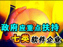 政府应重点扶持七类软件企业