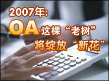 2007年：OA这棵“老树”将绽放“新花”