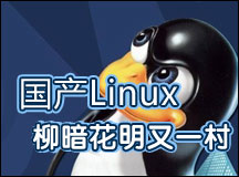 按需定制操作系统  国产Linux柳暗花明又一村