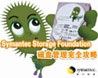 Storage Foundation���̹�������