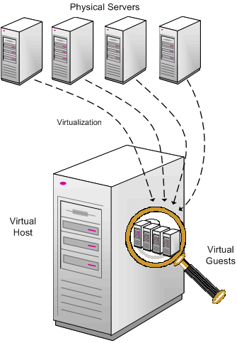 ���⻯Ч����Σ�VMware Web���ܲ���