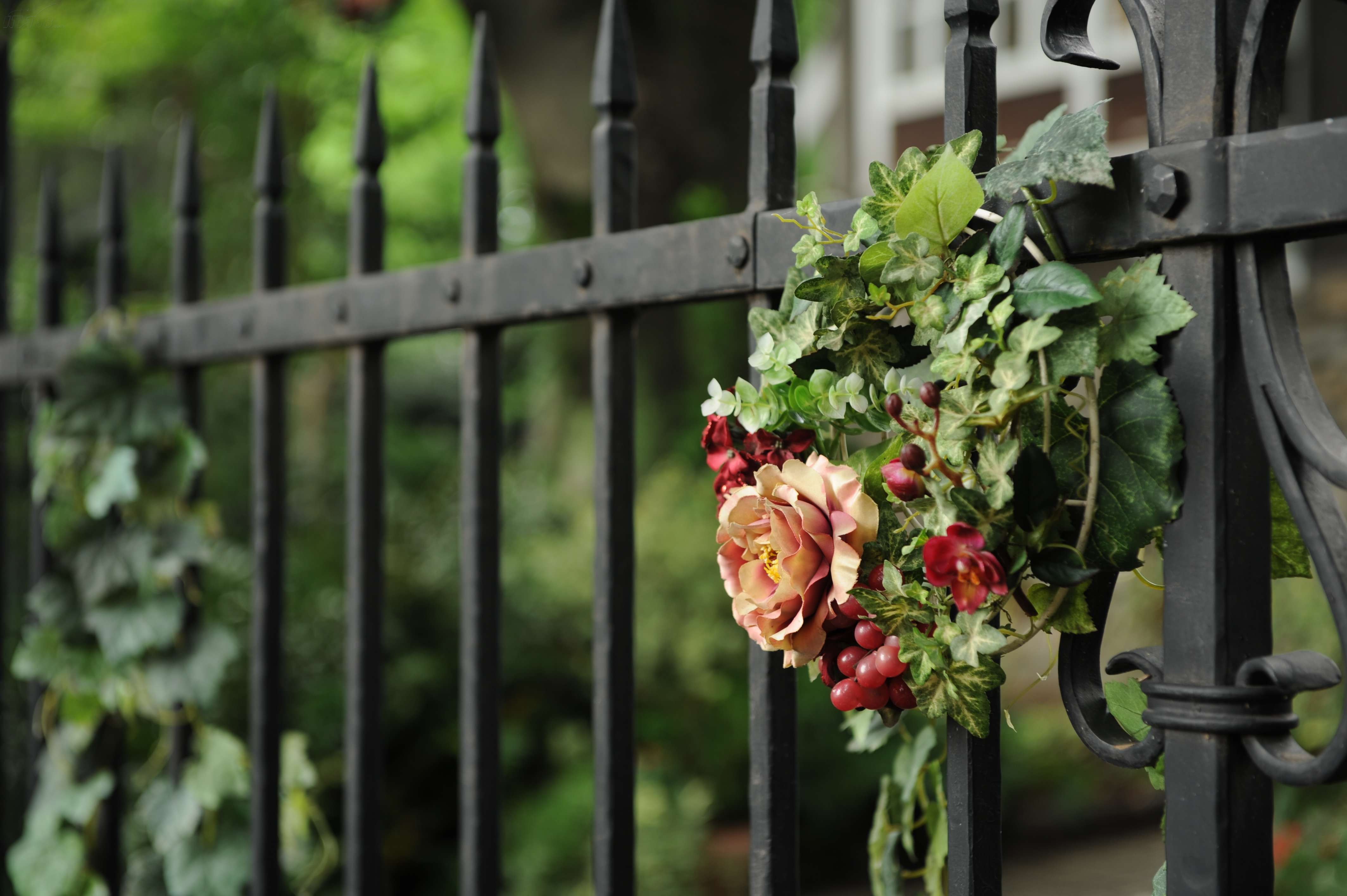 尼康35样张_尼康d1样张_尼康d1 进化