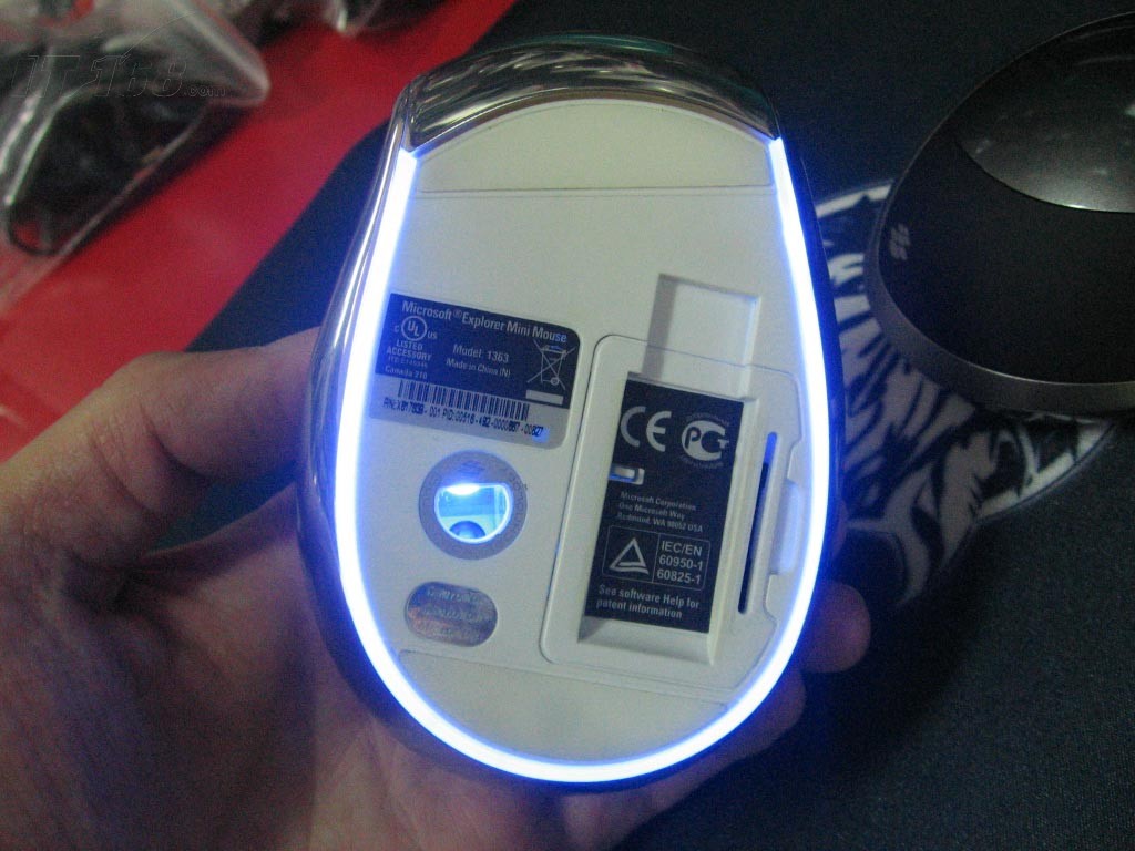 3034930.jpg