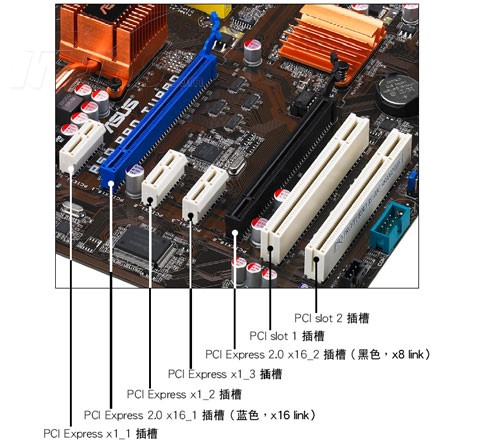 3218577.jpg