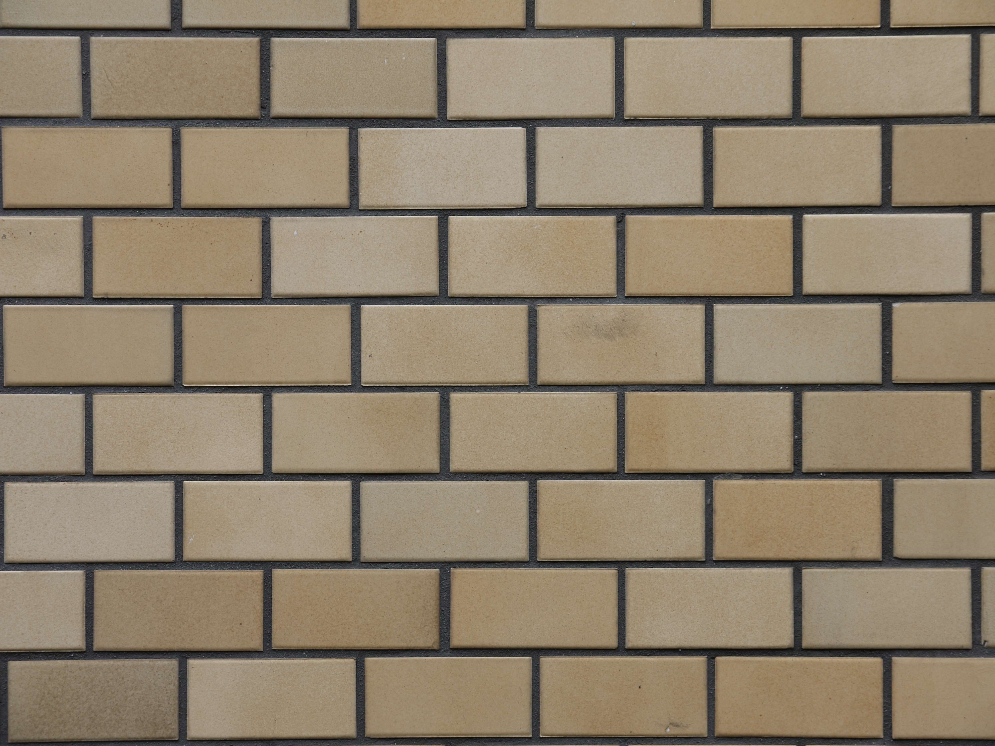 4234042.jpg
