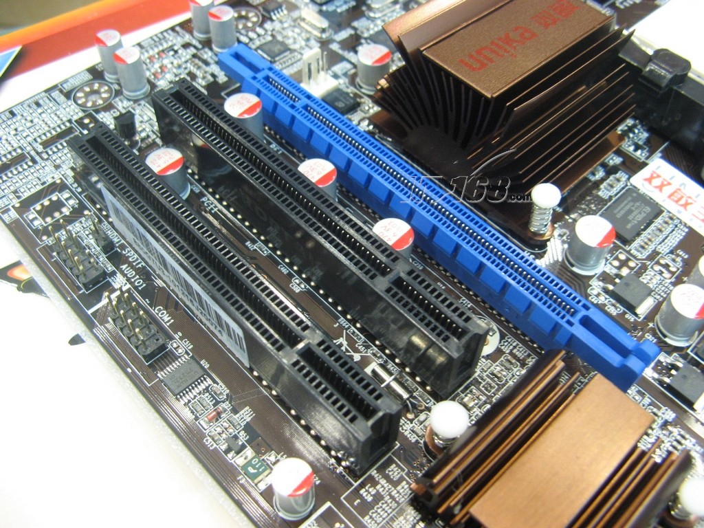4795406.jpg