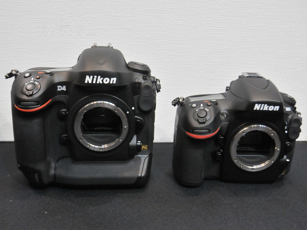尼康D800对比图片1素材-IT168数码相机图片大