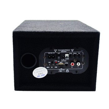 先科车载音响汽车低音炮 三用12v/24v/2.