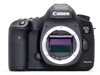 ���� 5D Mark IIIͼƬ