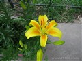 ���� PowerShot A540����ͼƬ6