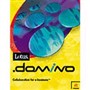 ���� Domino designer R5