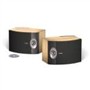 BOSE 301