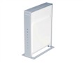 NETGEAR DG834N