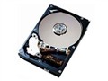 ���� 300GB/10K/U320/80��