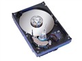 ϣ�� 73GB/10K/80��(ST373307LC)