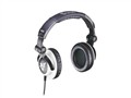���� DJ1