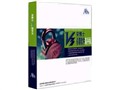 ����ʿ V3���ְ�2006��������+����ǽ��