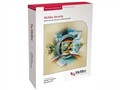 MCAFEE SAV�׼�-ACTIVE VIRUSSCAN SUITE(101-250�û�)