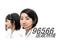 ���� 96566��������
