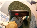 ŵ���� E66ͼƬ6