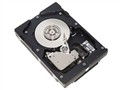ϣ�� 300GB/15000ת/SCSI(ST33000655LW)