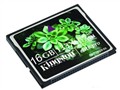 ��ʿ�� CF 133X(16G)