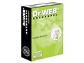Dr.web ������ 2008 ����� for Windows ��С��ҵ��(60�û�)