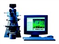 ��˾ Axioplan 2 imaging