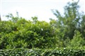 ���� K-7(��ͷ��ˮ�׻�18-55mm)�羰����ͼƬ6