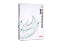 NOVELL Open Enterprise Server 2(1 User License)