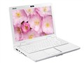 ��˶ F80H22DCR-SL(1GB/250GB)