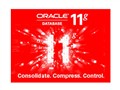 �׹��� Oracle 11g �򻯰�