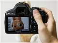 ���� 550D�׻�(18-55mm IS)ͼƬ16
