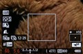 ���� 550D�׻�(18-55mm IS)����ͼƬ5