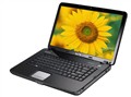 ���� Vostro �ɾ� 1015(T520362ACN)