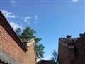 ŵ���� 5230����ͼƬ8