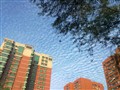 ŵ���� 5230����ͼƬ10
