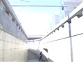 ���� W606����ͼƬ2