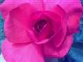 ŵ���� E66����ͼƬ3
