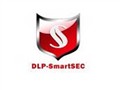 ����ͨ �ĵ�͸������ϵͳDLP-SmartSEC