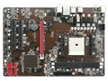 �ݲ� TA55AG-P