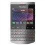 ��ݮ P9981