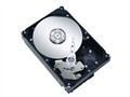 ϣ�� Constellation ES 2TB 7200ת 64MB(ST2000NM001)