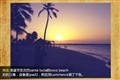 ƻ�� iPad2 WiFi(32GB)��������ͼƬ6