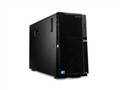 IBM System x3500 M4(7383J2C)