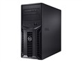 ���� PowerEdge T110 Xeon E3-1220/2GB/500GB
