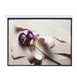 美创金属软幕(180 )功能、详细参数、美创金属